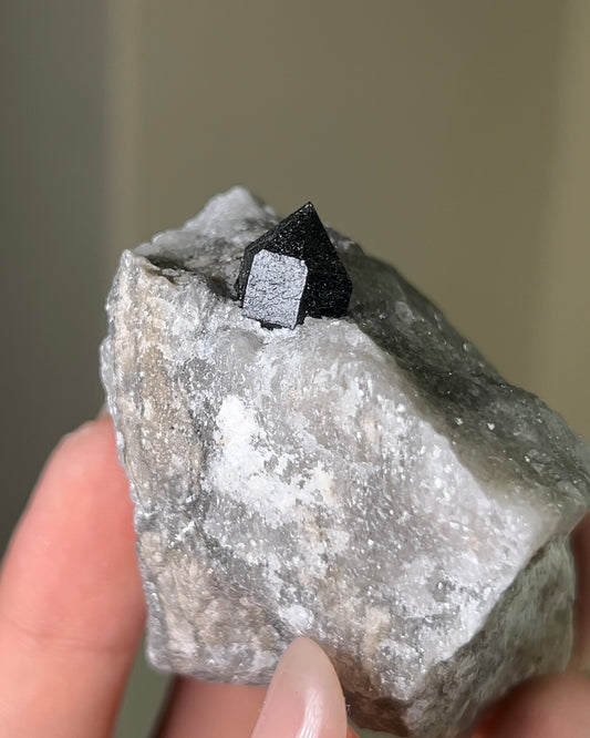 稀有罕見的義大利雙尖黑水晶 Rare black quartz specimen on anhydrite, featuring double-terminated quartz crystals with graphite inclusions from Italy.