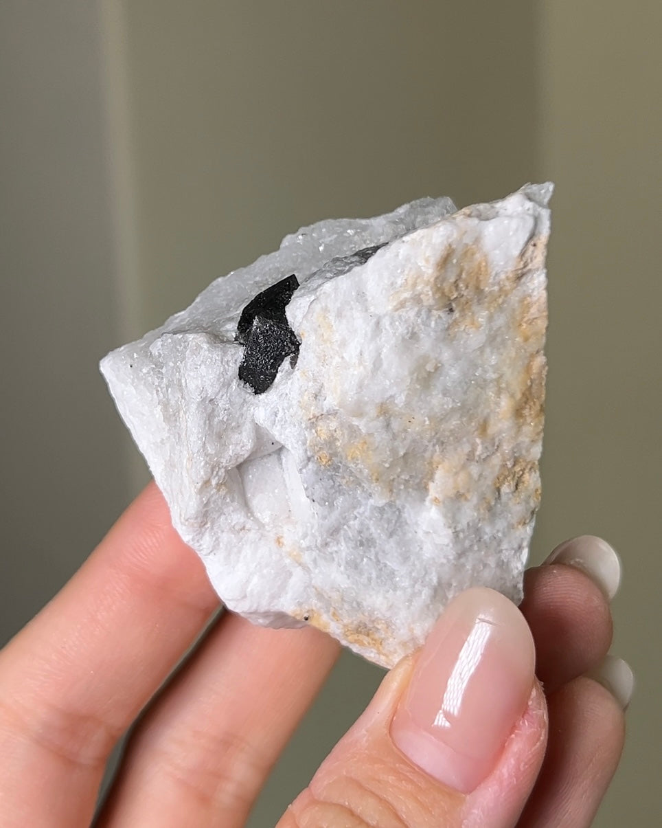 稀有罕見的義大利雙尖黑水晶 Rare black quartz specimen on anhydrite, featuring double-terminated quartz crystals with graphite inclusions from Italy.
