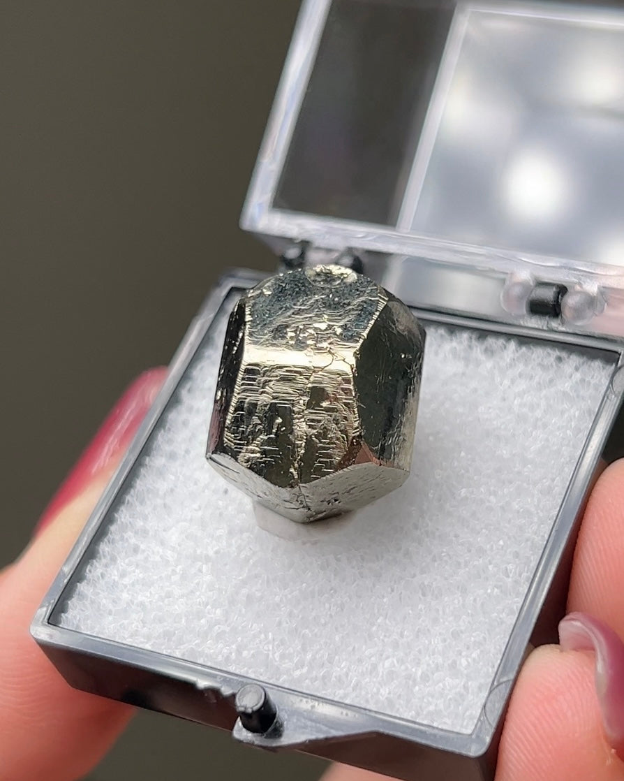 黃鐵礦 - 義大利厄爾巴島