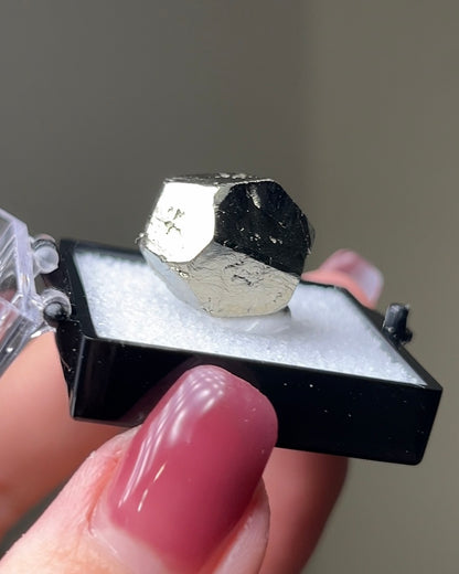 黃鐵礦 - 義大利厄爾巴島