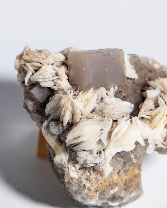 Fluorite - Poggio Balate, Sicily, Italy