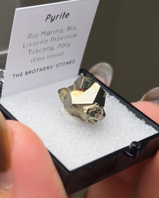 黃鐵礦 - 義大利厄爾巴島