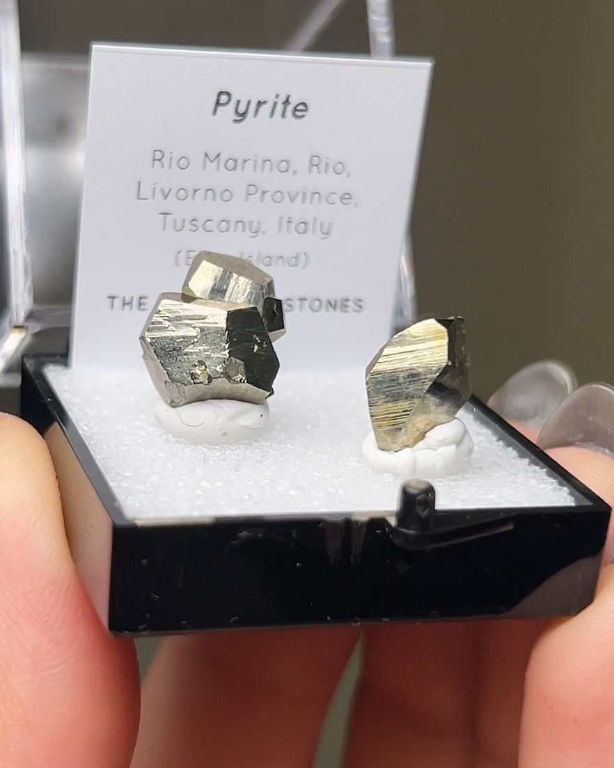 Pyrite - Elba Island, Italy