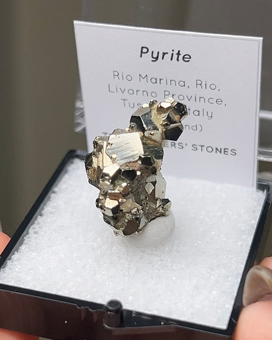 黃鐵礦 - 義大利厄爾巴島