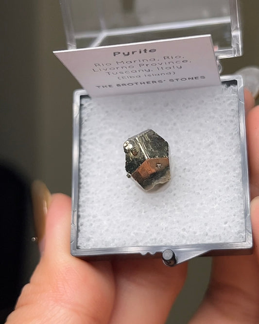 黃鐵礦 - 義大利厄爾巴島