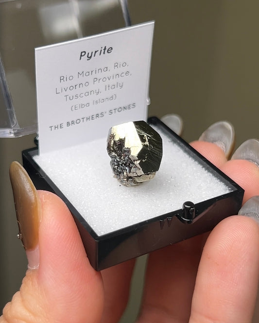 黃鐵礦 - 義大利厄爾巴島