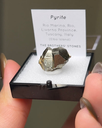 Pyrite - Elba Island, Italy