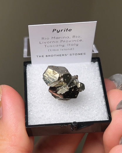 Pyrite - Elba Island, Italy