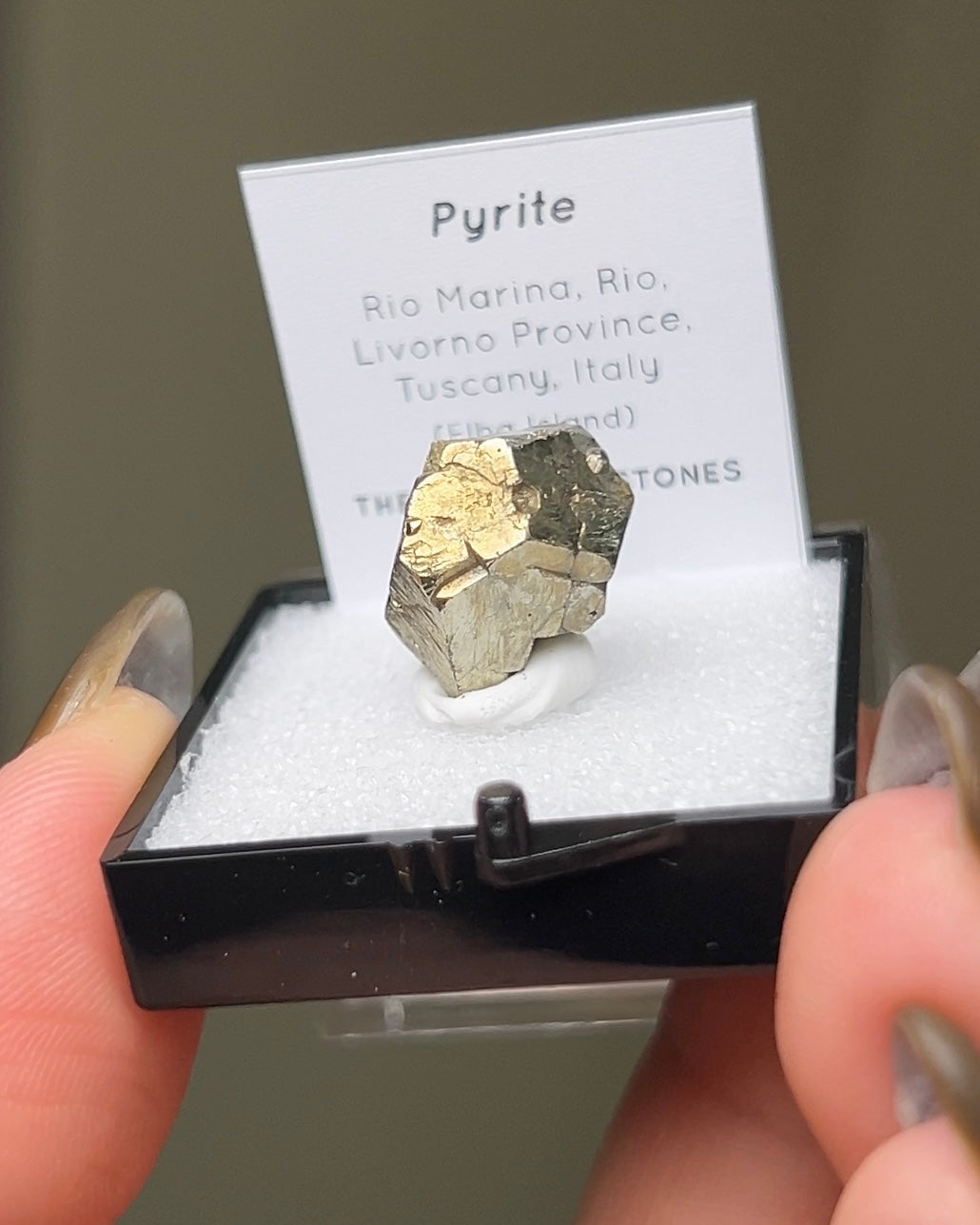 Pyrite - Elba Island, Italy