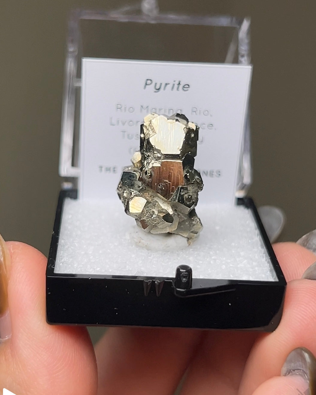 Pyrite - Elba Island, Italy