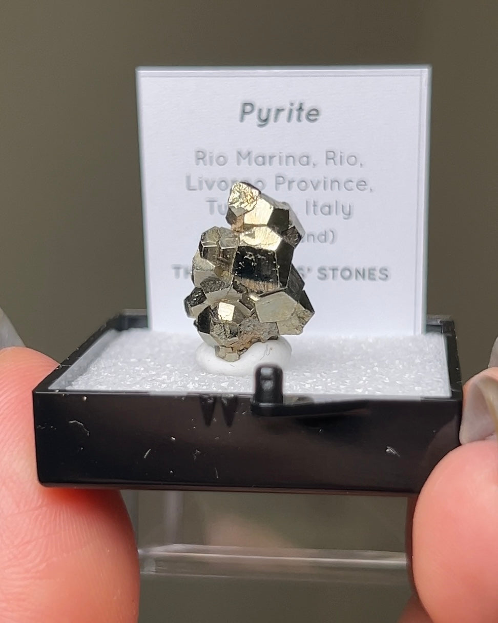 Pyrite - Elba Island, Italy