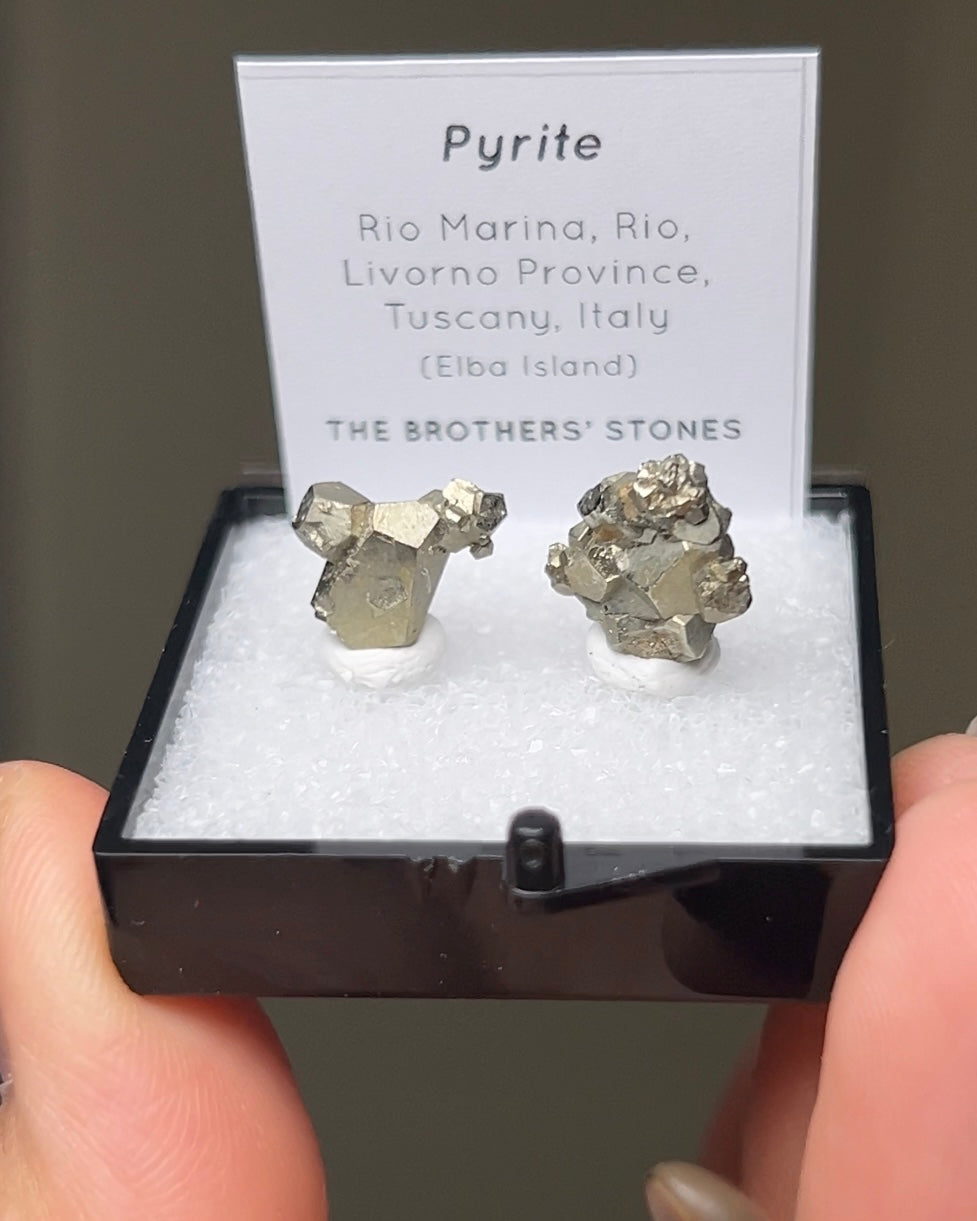 Pyrite - Elba Island, Italy