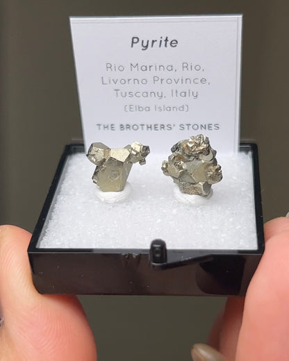 Pyrite - Elba Island, Italy