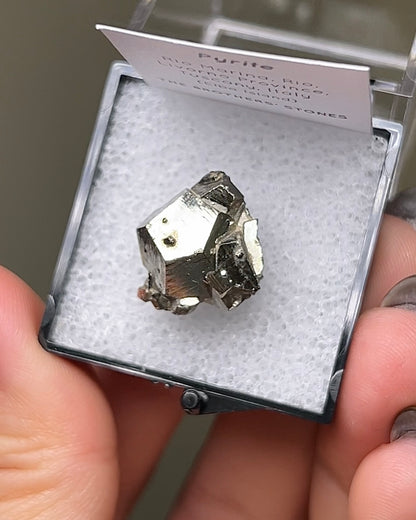 Pyrite - Elba Island, Italy