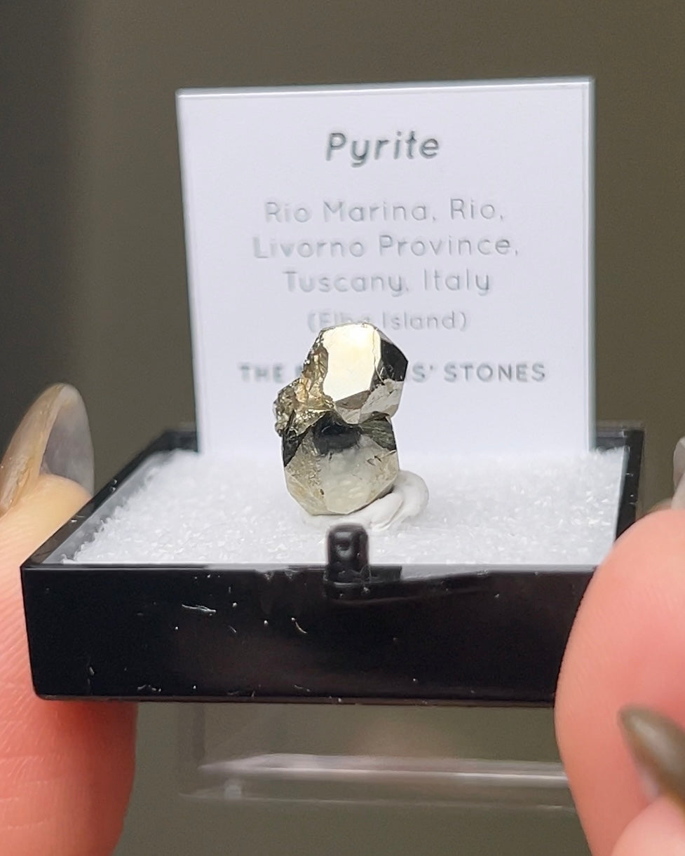 Pyrite - Elba Island, Italy