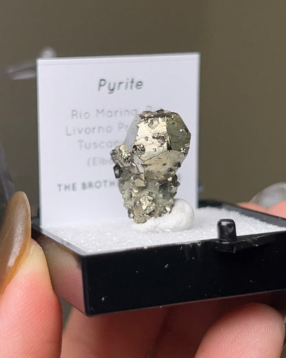 Pyrite - Elba Island, Italy