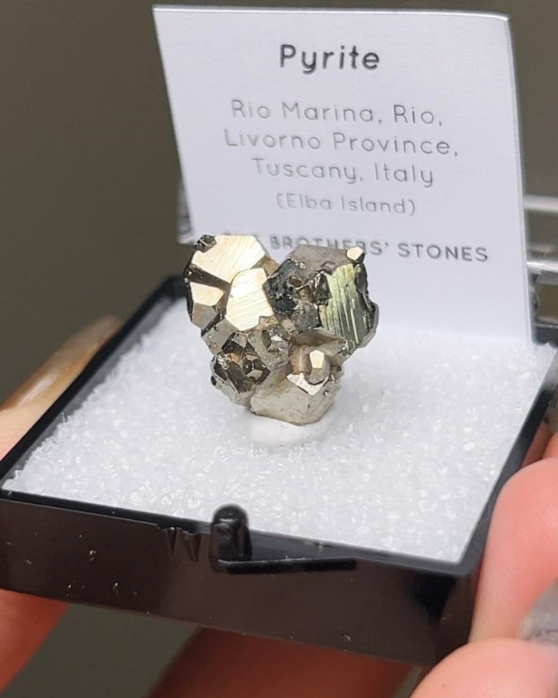 Pyrite - Elba Island, Italy