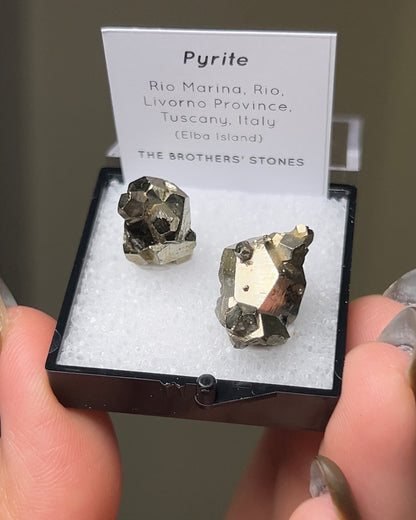 Pyrite - Elba Island, Italy