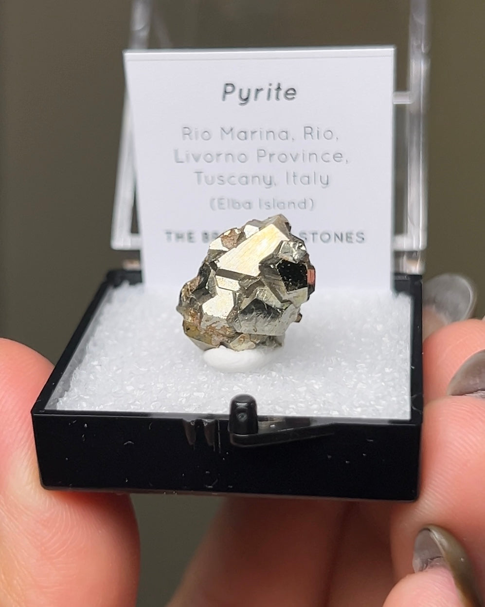 Pyrite - Elba Island, Italy