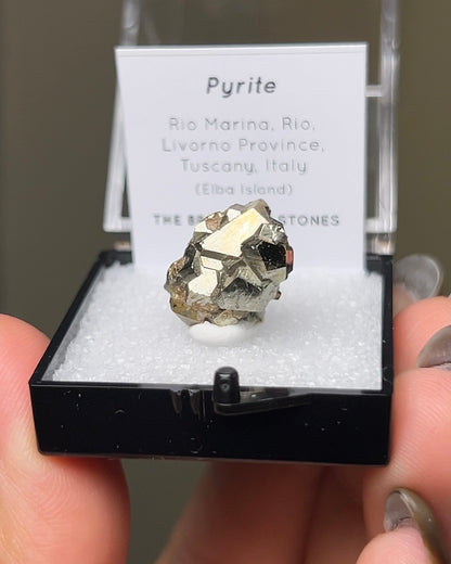 Pyrite - Elba Island, Italy