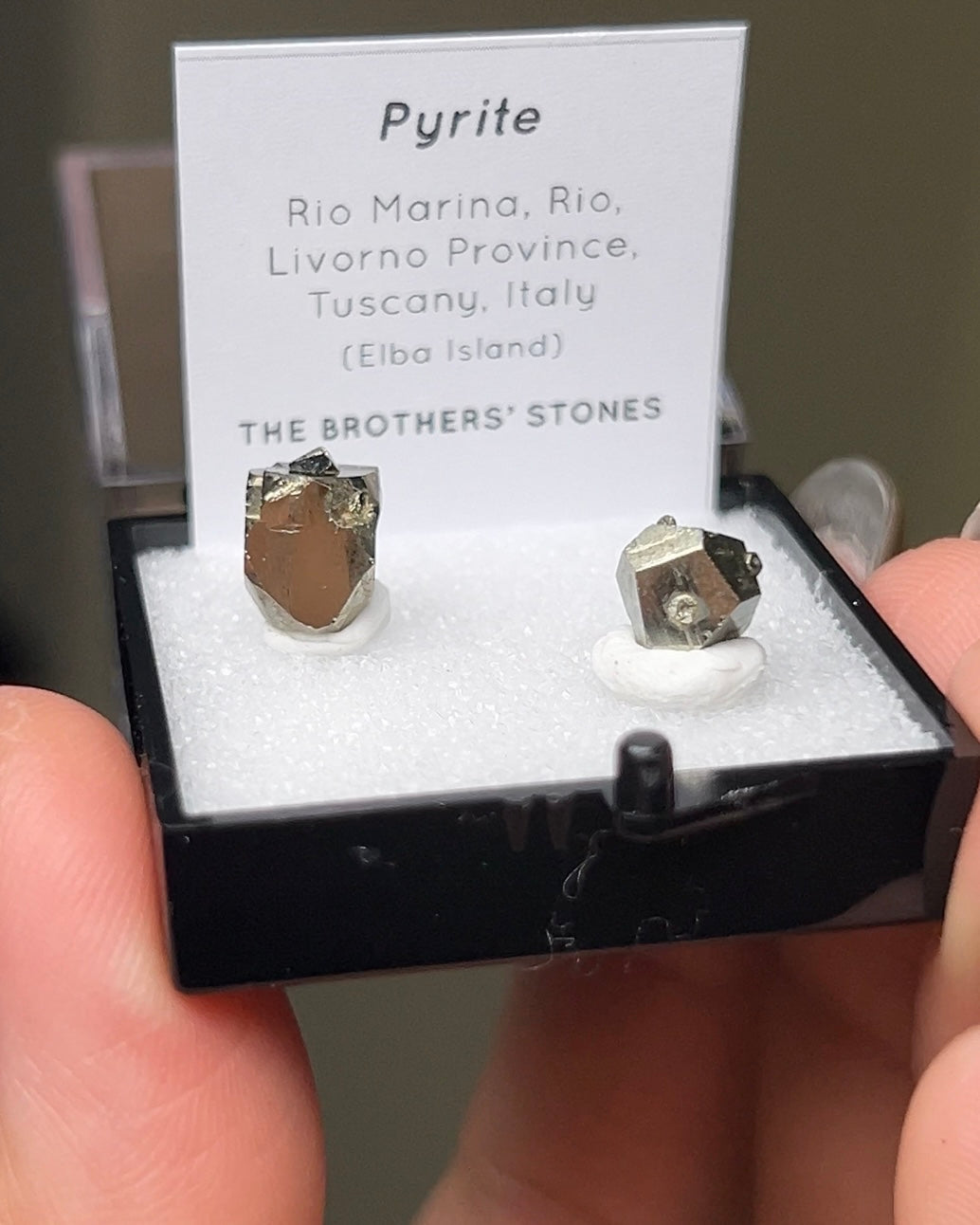 Pyrite - Elba Island, Italy