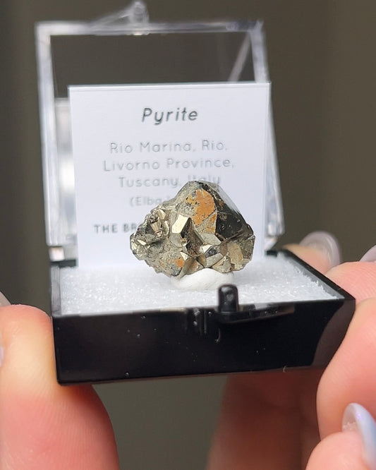 黃鐵礦 - 義大利厄爾巴島