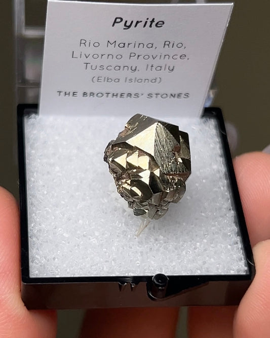 黃鐵礦 - 義大利厄爾巴島