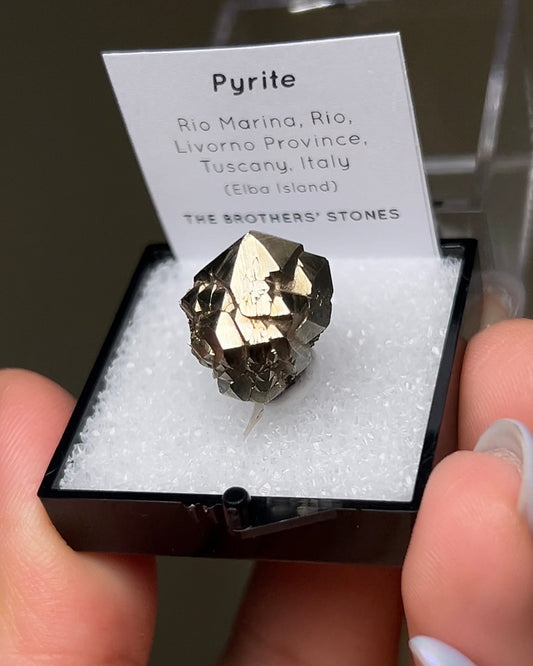 黃鐵礦 - 義大利厄爾巴島