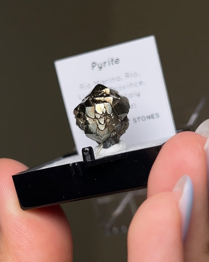 Pyrite - Elba Island, Italy