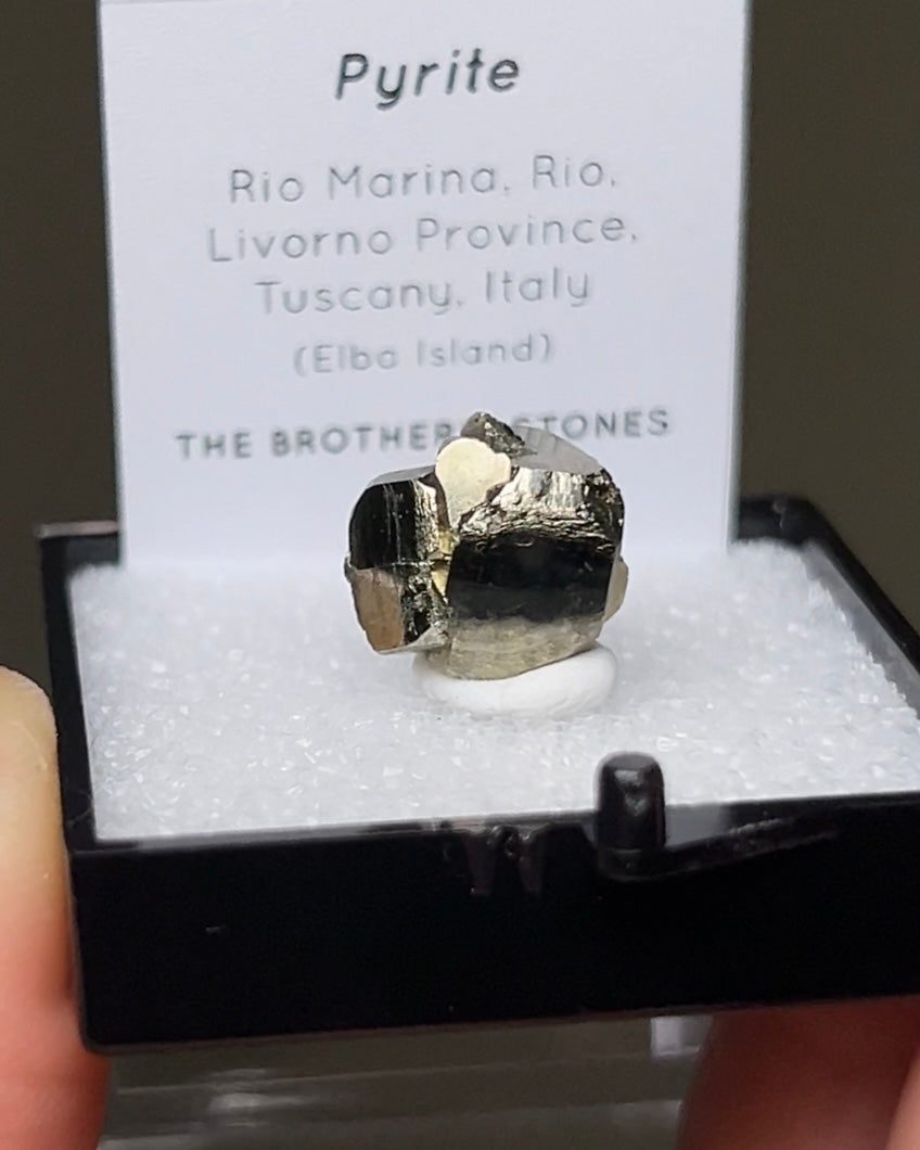 Pyrite - Elba Island, Italy