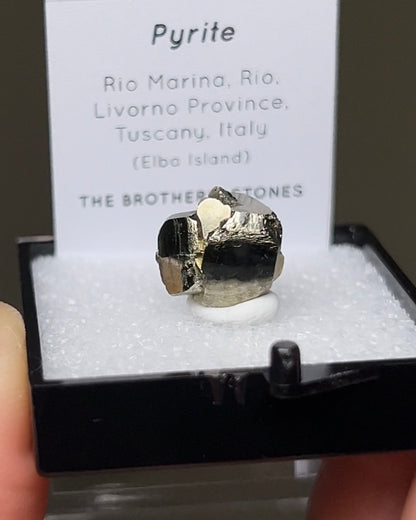 Pyrite - Elba Island, Italy