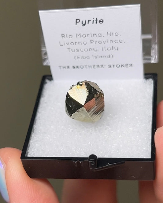 黃鐵礦 - 義大利厄爾巴島