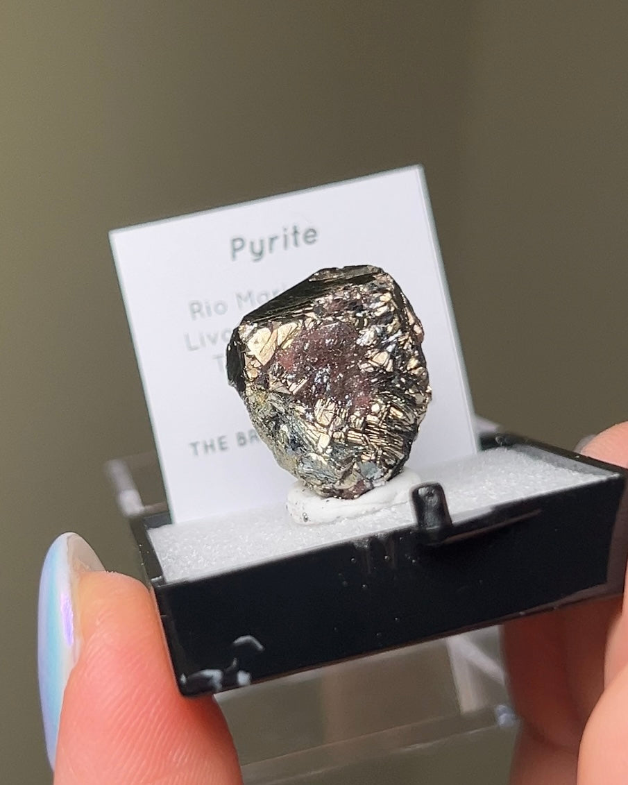 Pyrite - Elba Island, Italy