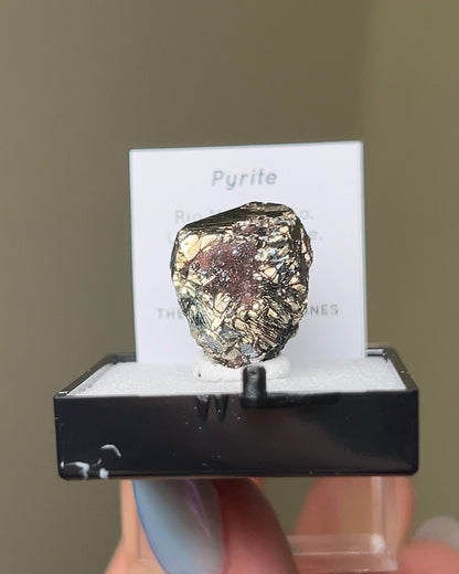 Pyrite - Elba Island, Italy