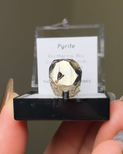 Pyrite - Elba Island, Italy