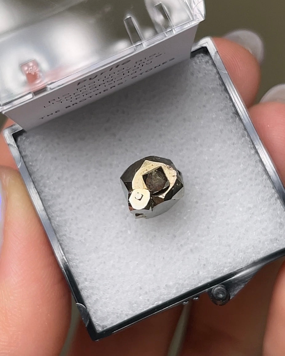 黃鐵礦 - 義大利厄爾巴島