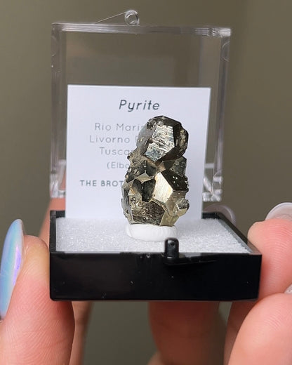Pyrite - Elba Island, Italy