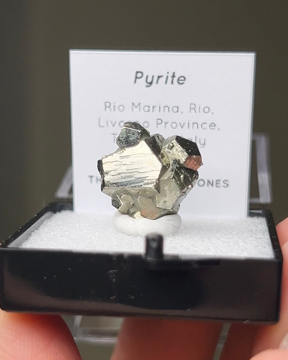 Pyrite - Elba Island, Italy