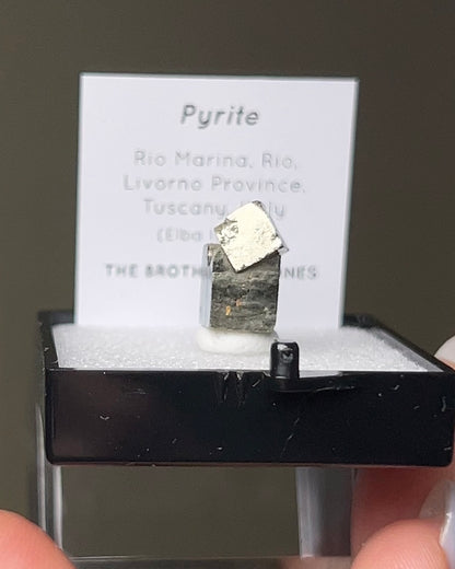 黃鐵礦 - 義大利厄爾巴島