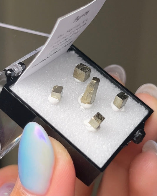 黃鐵礦 - 義大利厄爾巴島