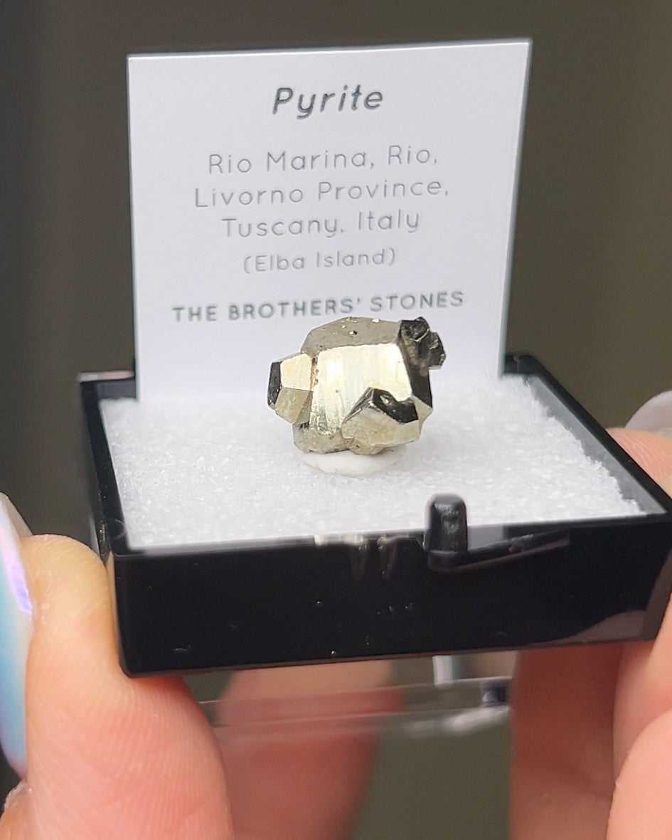 黃鐵礦 - 義大利厄爾巴島