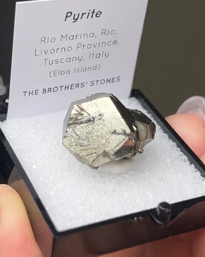 Pyrite - Elba Island, Italy