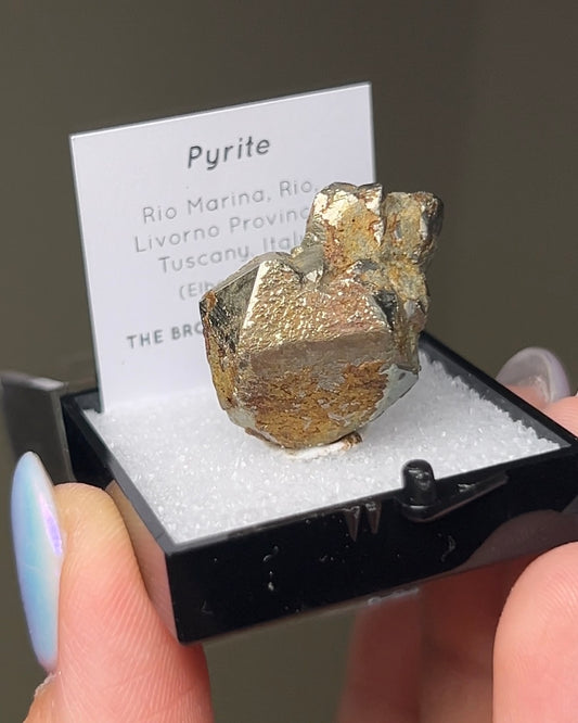 黃鐵礦 - 義大利厄爾巴島