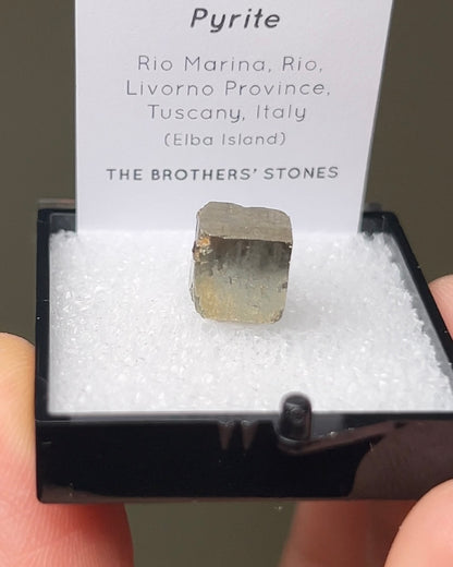 黃鐵礦 - 義大利厄爾巴島