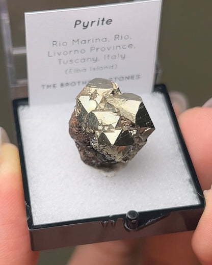 Pyrite - Elba Island, Italy