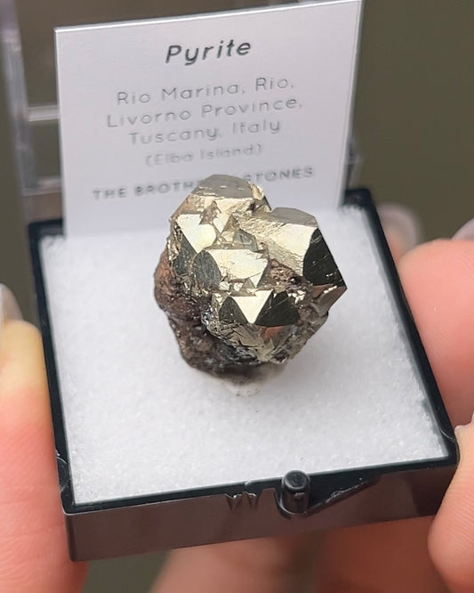 黃鐵礦 - 義大利厄爾巴島