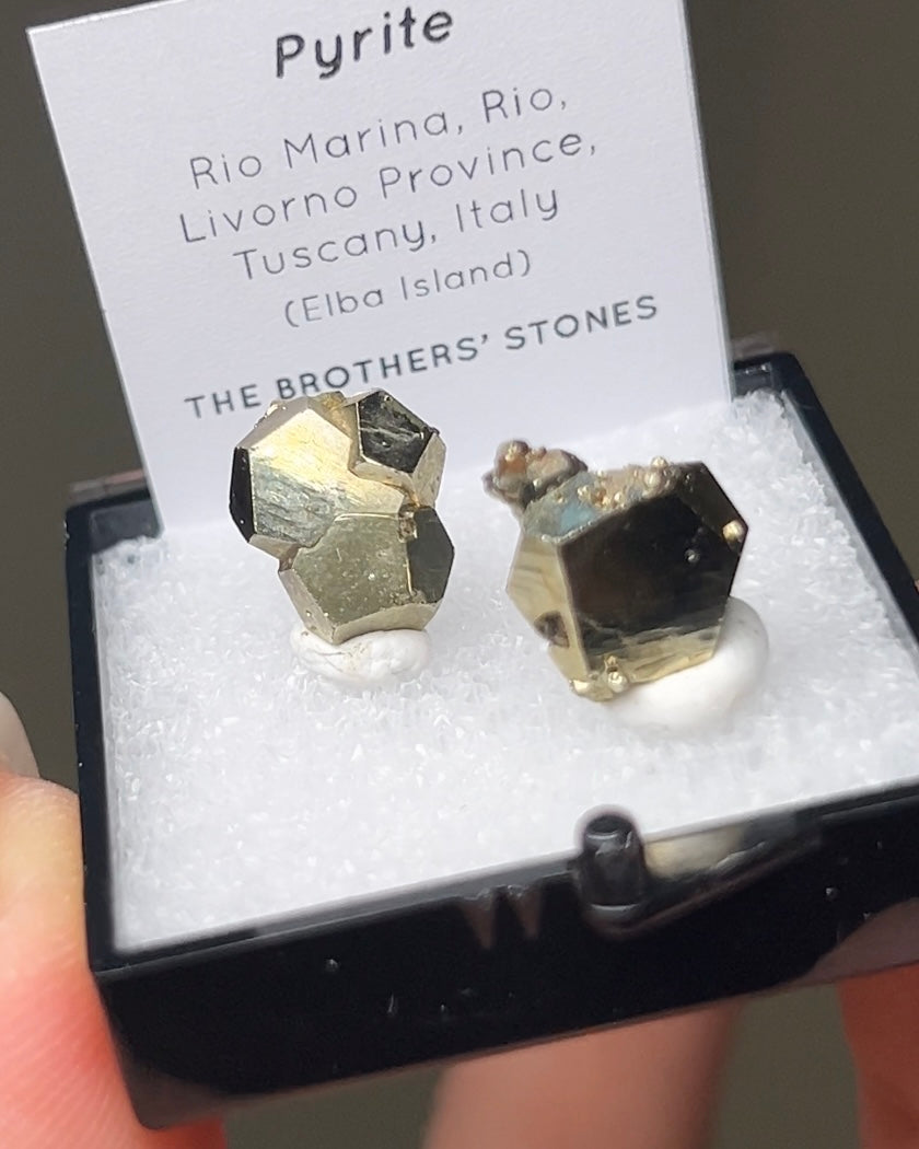 Pyrite - Elba Island, Italy