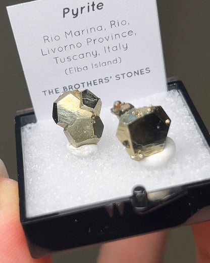 Pyrite - Elba Island, Italy