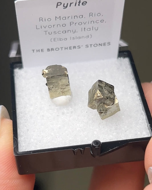 黃鐵礦 - 義大利厄爾巴島