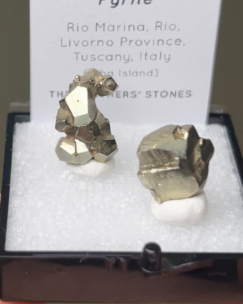 Pyrite - Elba Island, Italy